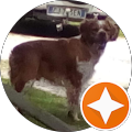 Sergio R. profile picture