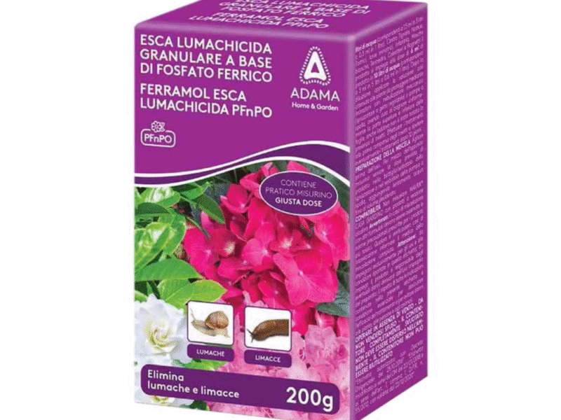 Esca Lumachicida Ferramol 200 g – Adama