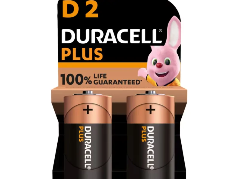 DURACELL_D_R2M Pile Torcia Duracell Plus D Alcaline 1,5V - Confezione da 2